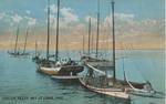 Oyster Fleet, Bay St. Louis, Miss. by L. A. de Montluzin & Sons