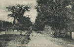 A Quiet Street in Handsboro, Miss. by E. J. Younghans (Gulfport, Miss.) and Albertype Co.