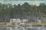 Winter Camp of Chas. Willis Ward on Wolf River, near Pass Christian, Miss. by Northrop Drug Store (Pass Christian, Miss.)