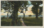 Overlooking the Gulf of Mexico from the Home of Dorothy Dix, Pass Christian, Miss. by Community Cash Store (Pass Christian, Miss.) and C.T. American Art