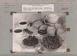 Family of five with limited income. Breakfast #1: Stewed prunes, whole wheat porridge, top milk, toast, milk, and coffee. by USDA