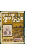 Down Where the Cotton Blossoms Grow / music by Harry von Tilzer; words by Andrew B. Sterling by Harry von Tilzer, Andrew B. Sterling, and Shapiro Remick and Company (New York)
