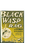 Black Wasp Rag (A Stinger) / words by H. A. Fischler by H. A. Fischler and Vandersloot Music (Williamsport)