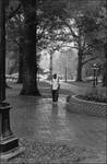 Alone, University of Mississippi Campus. by B. J. Petty