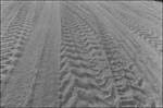 Tracks in the Dust. by Evan Hatch