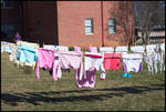 Clothesline [Village Apartments, University of Mississippi] by Miranda Cully