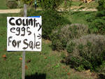 Country Eggs For Sale by Sarah Simonson