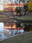 Honors College Reflection [University of Mississippi] by Chelsea Wright